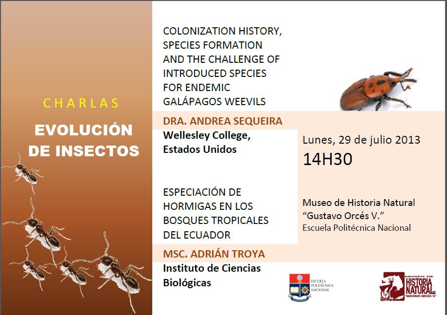 charla insectos